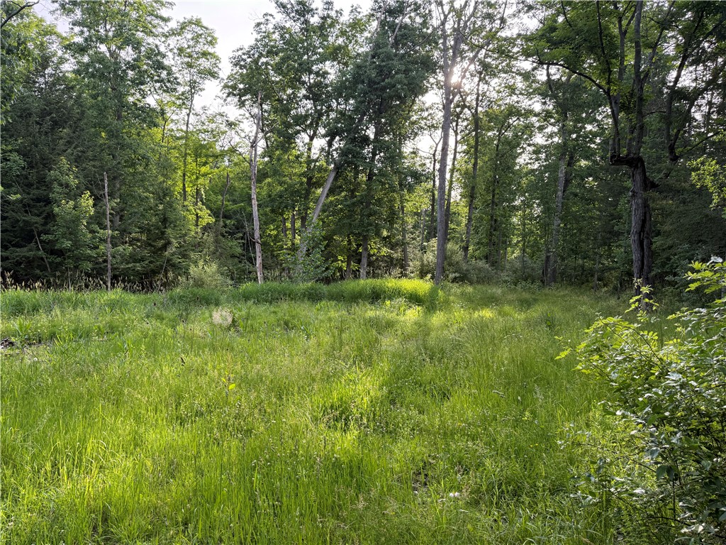 Hill Road Fillmore, NY 14735 - Photo 5 of 5