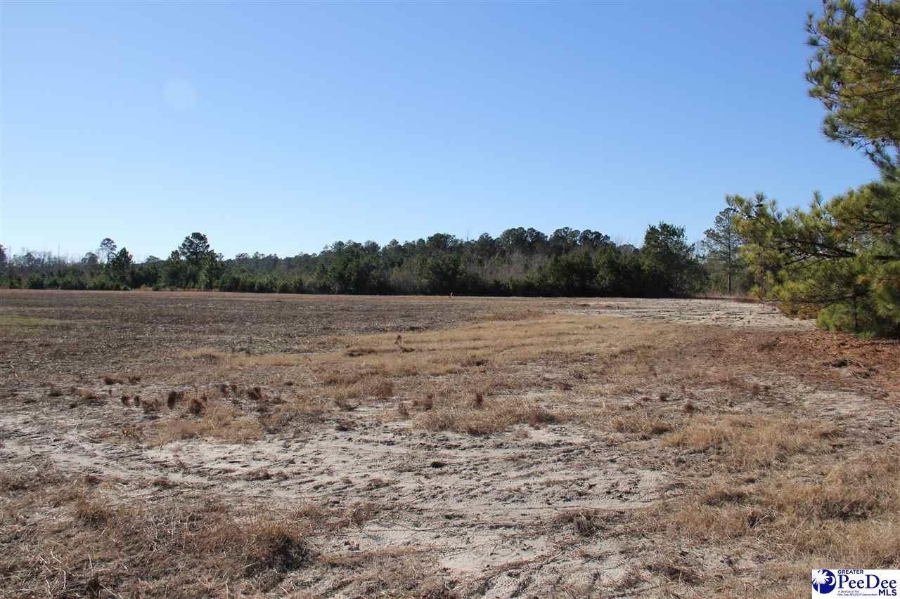 0 Country Manor Road Lamar, SC 29069 - Photo 2 of 15 Gallery Image 2