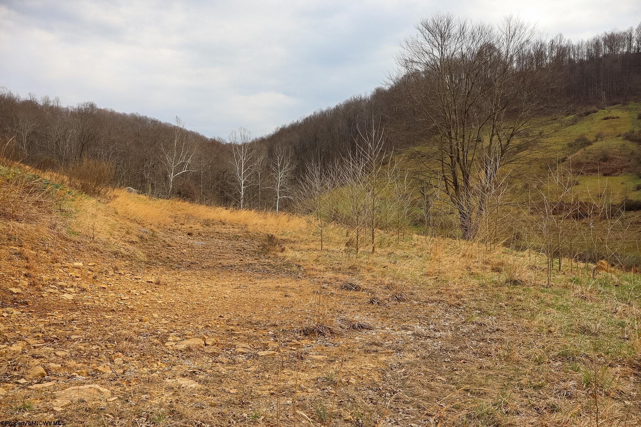 Tbd Mudlick Run Road Fairmont, WV 26554 - Photo 8 of 20 Gallery Image 8
