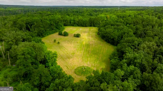 a view of a lush green space