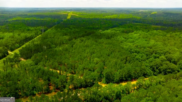a view of yard with swimming pool and green space