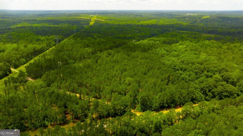 1230 Agricola Road Mitchell, GA 30820 - Photo 11 of 43 a view of a green field with lots of bushes