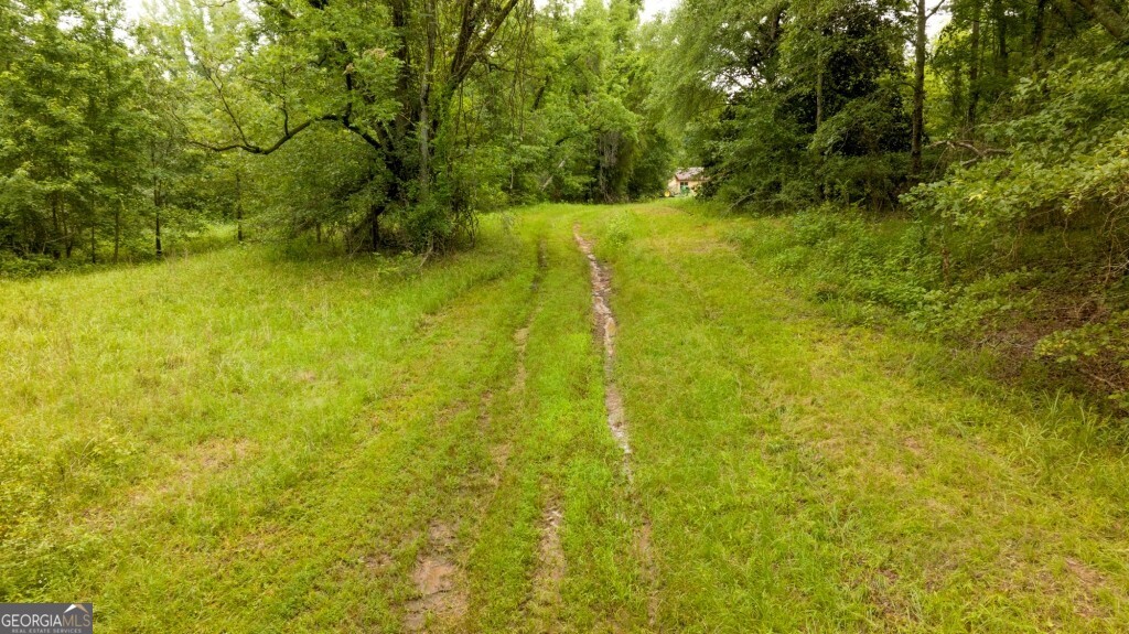 1230 Agricola Road Mitchell, GA 30820 - Photo 12 of 43 a view of yard with swimming pool and green space