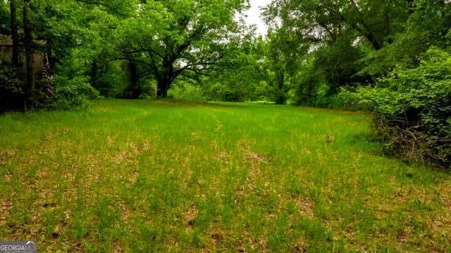 a view of a trees with yard