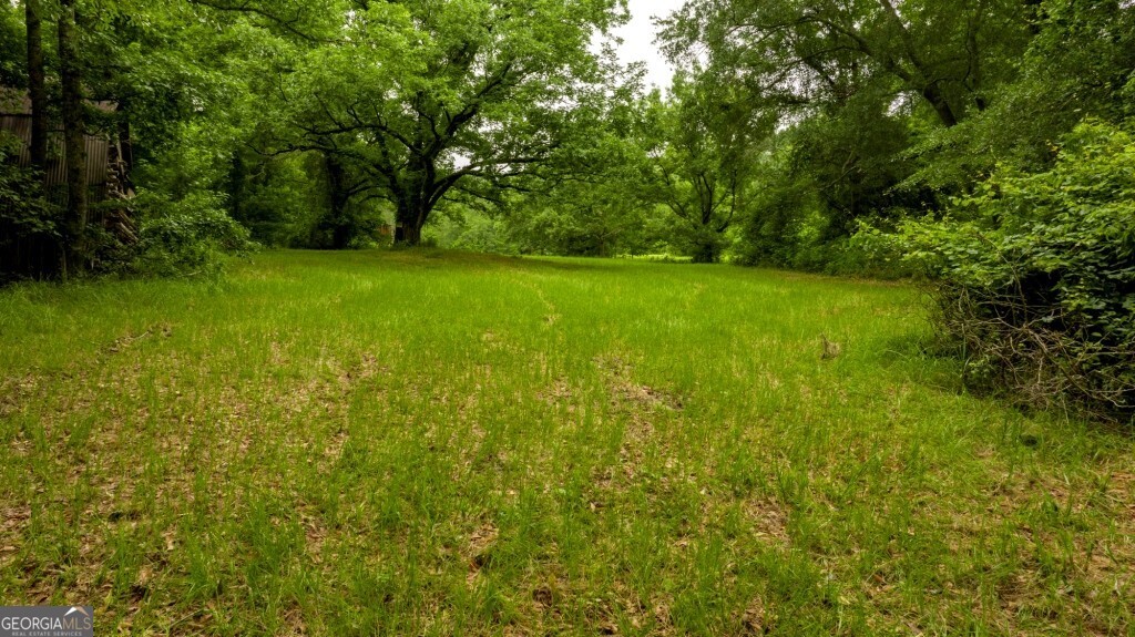 1230 Agricola Road Mitchell, GA 30820 - Photo 13 of 43 a view of yard with green space