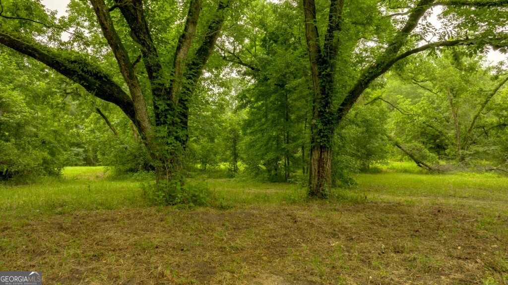 1230 Agricola Road Mitchell, GA 30820 - Photo 14 of 43 a view of a trees with yard