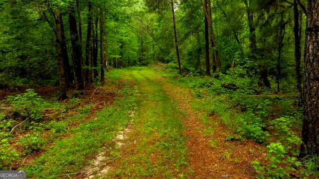 a view of backyard with green space
