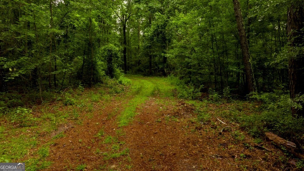 1230 Agricola Road Mitchell, GA 30820 - Photo 16 of 43 a view of backyard with green space