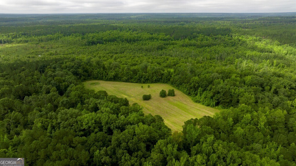 1230 Agricola Road Mitchell, GA 30820 - Photo 17 of 43 a view of a back yard