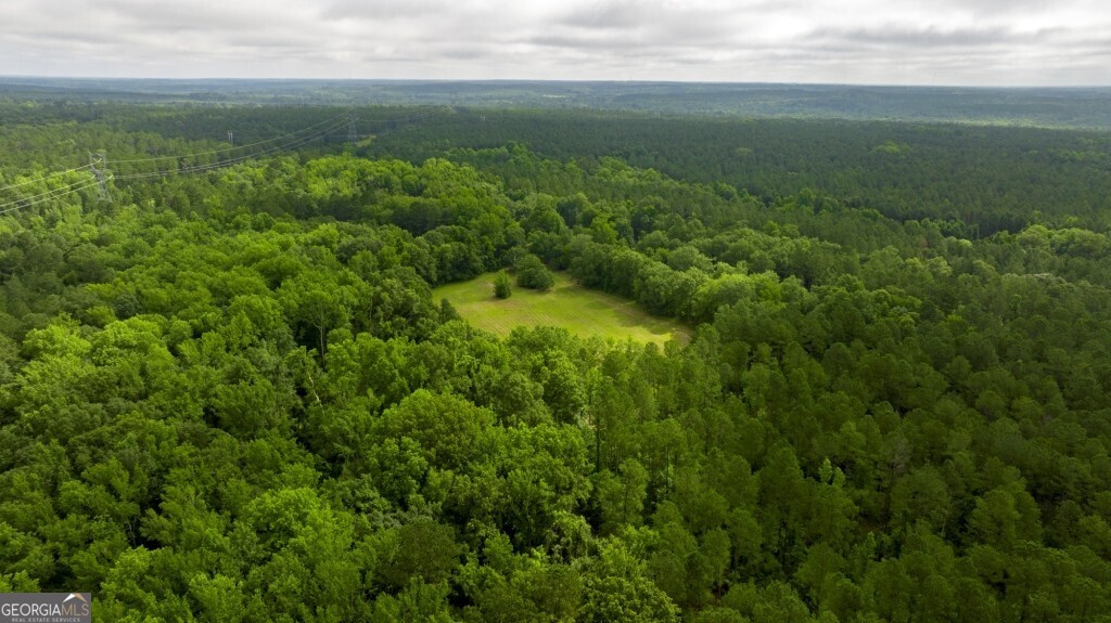 1230 Agricola Road Mitchell, GA 30820 - Photo 18 of 43 a view of a field of grass and trees
