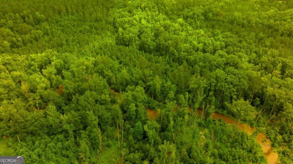 1230 Agricola Road Mitchell, GA 30820 - Photo 2 of 43 a view of a lush green space