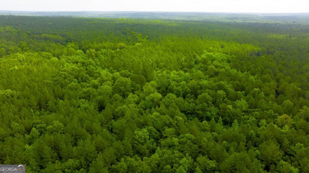 1230 Agricola Road Mitchell, GA 30820 - Photo 21 of 43 a view of a lush green space