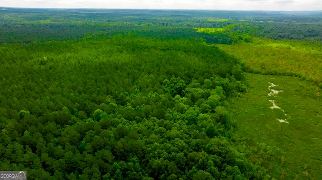 a view of a lush green space with sea