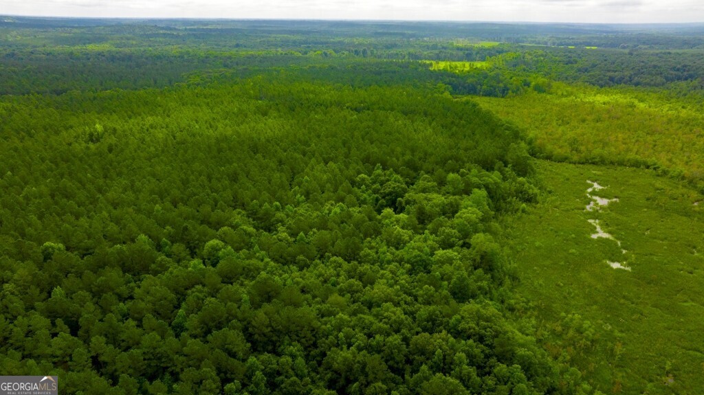 1230 Agricola Road Mitchell, GA 30820 - Photo 22 of 43 a view of a lush green space