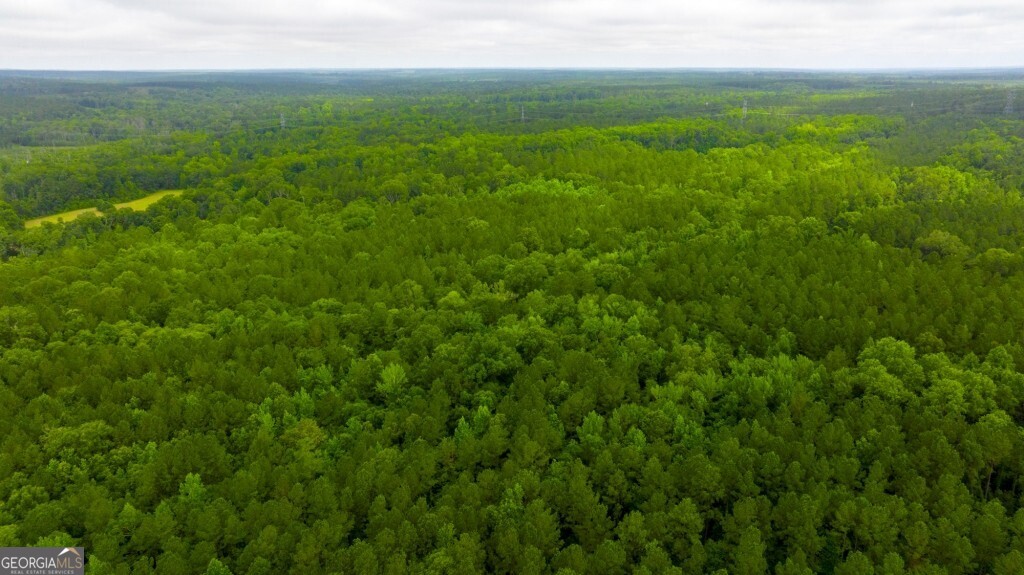 1230 Agricola Road Mitchell, GA 30820 - Photo 23 of 43 a view of a lush green space with sea