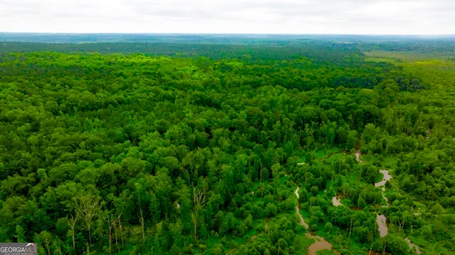 a view of a lush green yard
