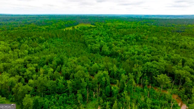 a view of a lush green space