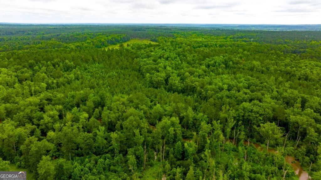 1230 Agricola Road Mitchell, GA 30820 - Photo 25 of 43