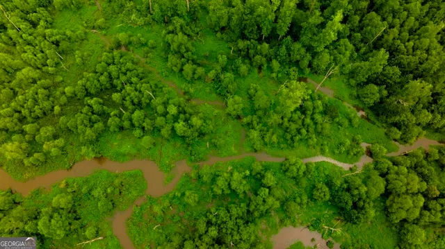 a view of a lush green space