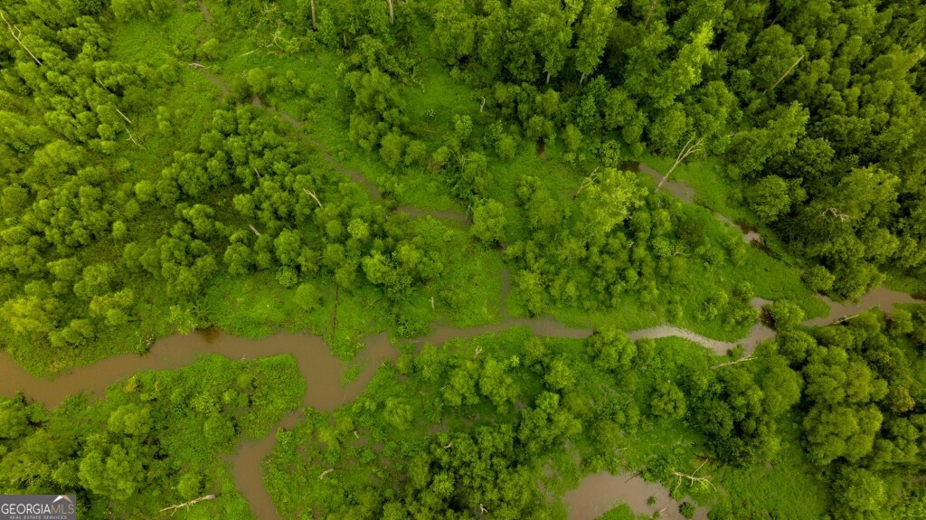 1230 Agricola Road Mitchell, GA 30820 - Photo 26 of 43 a view of a lush green yard