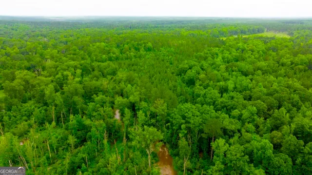 a view of a lush green forest with lots of trees