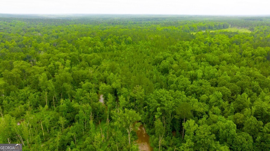 1230 Agricola Road Mitchell, GA 30820 - Photo 28 of 43 a view of a lush green space