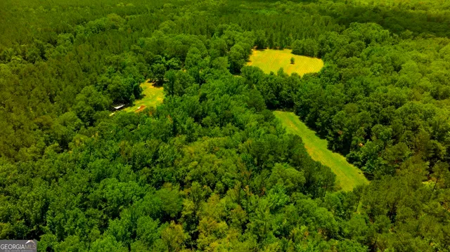 a view of a big yard with large trees