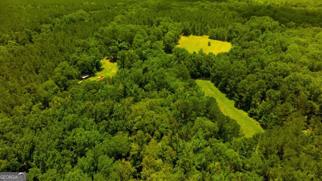 1230 Agricola Road Mitchell, GA 30820 - Photo 3 of 43 a view of a house in a yard