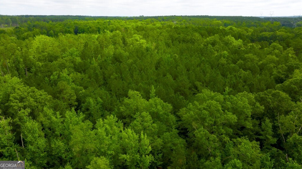 1230 Agricola Road Mitchell, GA 30820 - Photo 31 of 43 a view of a lush green space