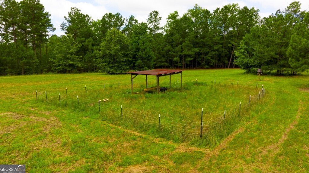 1230 Agricola Road Mitchell, GA 30820 - Photo 32 of 43 a view of yard with grass and trees