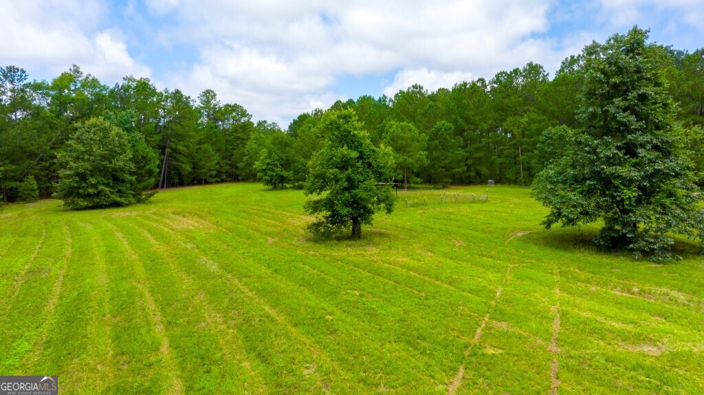 1230 Agricola Road Mitchell, GA 30820 - Photo 33 of 43 a backyard of a house with lots of green space