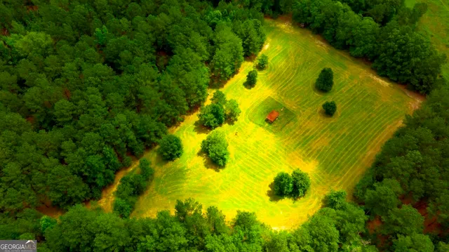 a view of a garden with a field