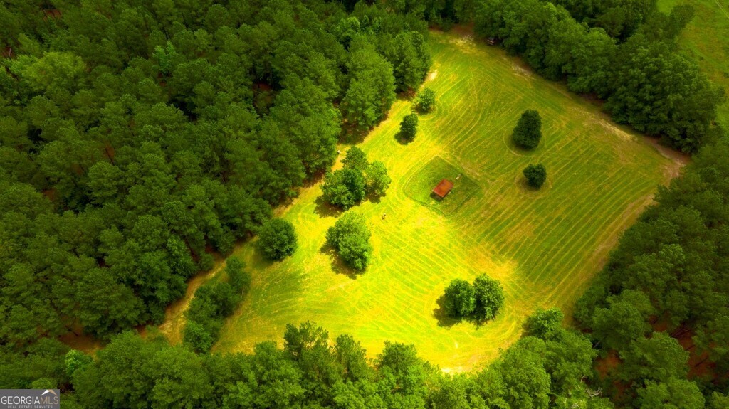 1230 Agricola Road Mitchell, GA 30820 - Photo 34 of 43 a view of a big yard with large trees and plants