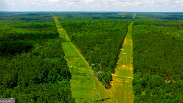a view of yard with grass and trees