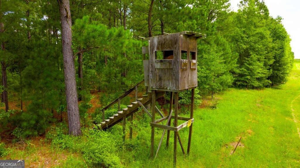 1230 Agricola Road Mitchell, GA 30820 - Photo 37 of 43 a aerial view of a house with pool