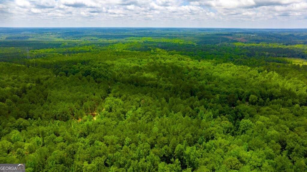 1230 Agricola Road Mitchell, GA 30820 - Photo 38 of 43 a view of yard with grass and trees