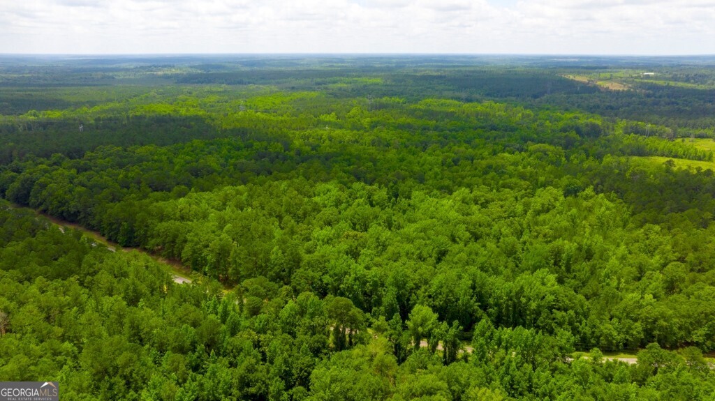 1230 Agricola Road Mitchell, GA 30820 - Photo 39 of 43 a view of an ocean and beach