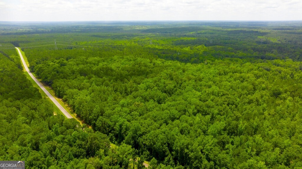 1230 Agricola Road Mitchell, GA 30820 - Photo 40 of 43 a view of a lush green space with sea