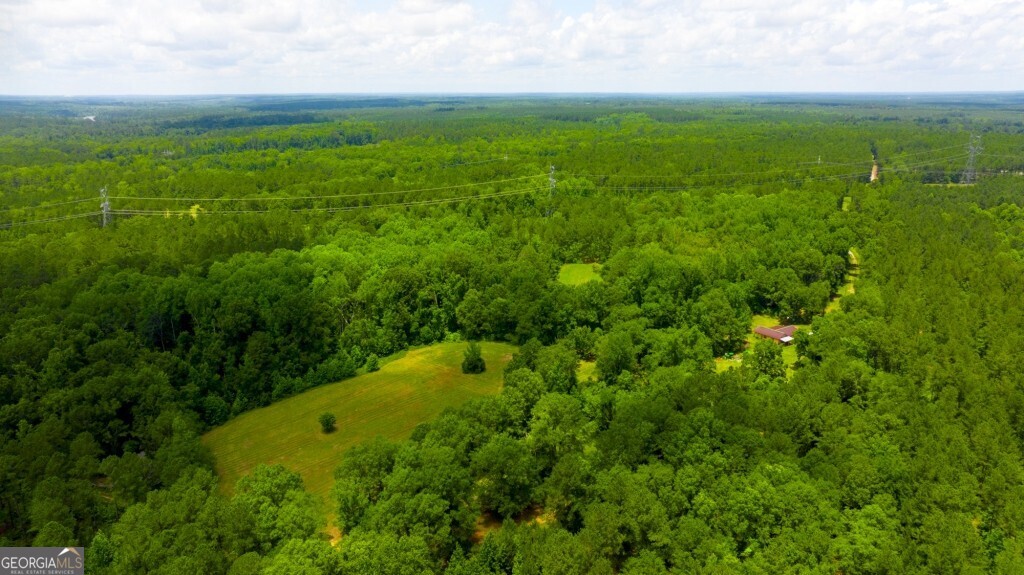 1230 Agricola Road Mitchell, GA 30820 - Photo 4 of 43 a view of a big yard with large trees