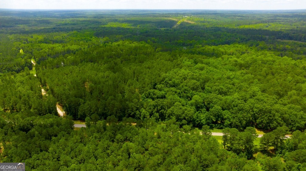 1230 Agricola Road Mitchell, GA 30820 - Photo 41 of 43 a view of a lush green space