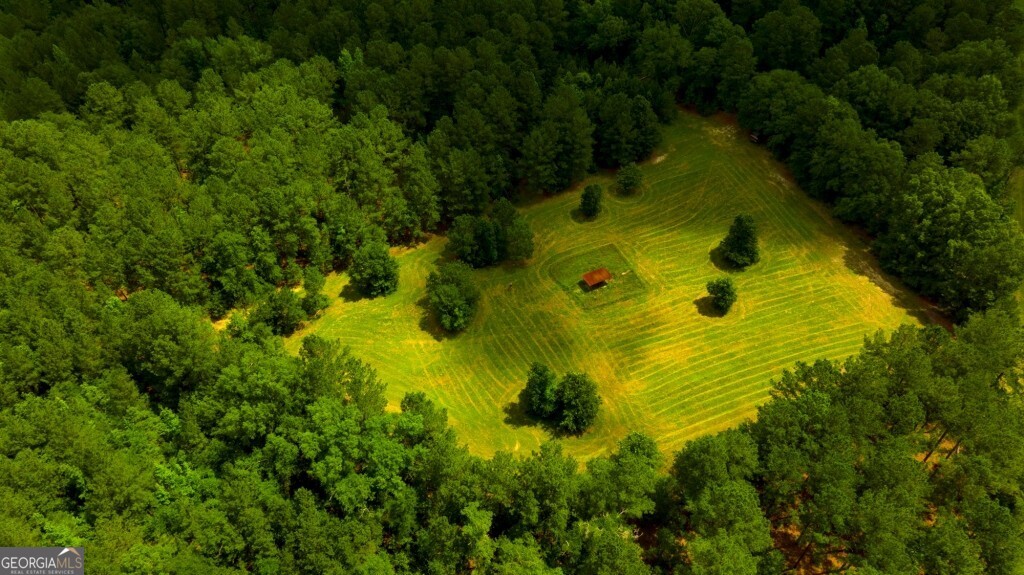 1230 Agricola Road Mitchell, GA 30820 - Photo 5 of 43 a view of a yard