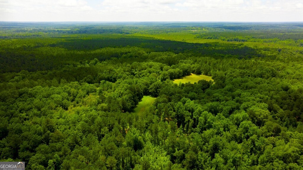 1230 Agricola Road Mitchell, GA 30820 - Photo 7 of 43 a view of a lush green space