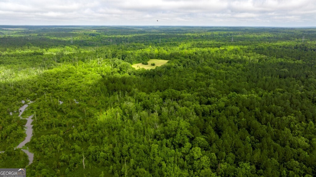1230 Agricola Road Mitchell, GA 30820 - Photo 8 of 43 a view of a lush green space with sea