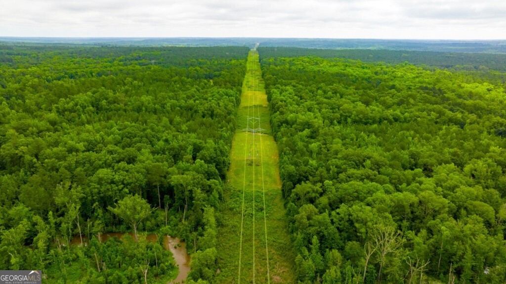 1230 Agricola Road Mitchell, GA 30820 - Photo 9 of 43 a view of a green yard with large trees