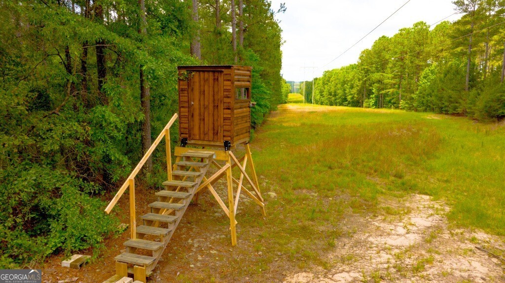1230 Agricola Road Mitchell, GA 30820 - Photo 10 of 43 a view of an ocean with a palm tree
