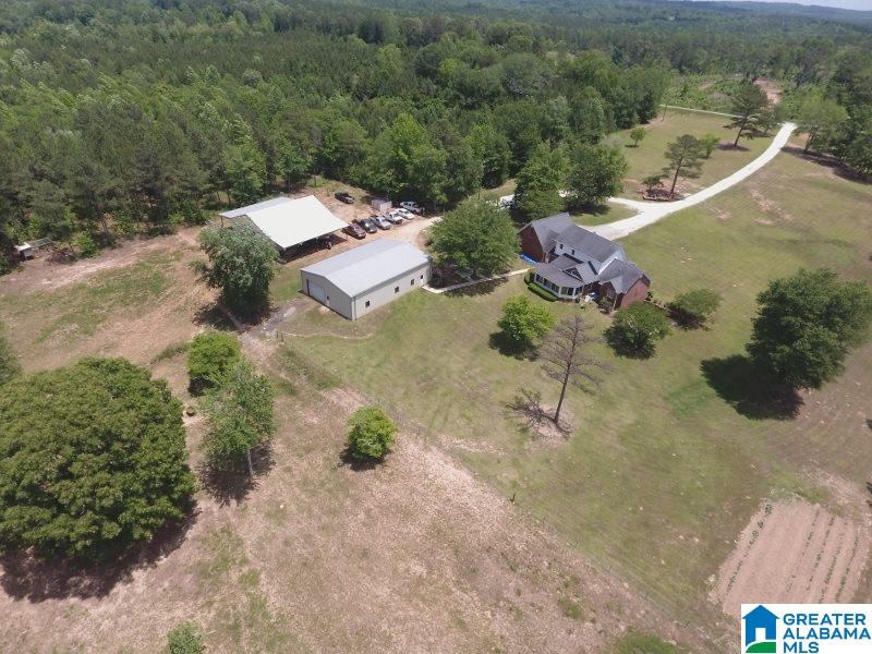 4747 County Road 33 Wadley, AL 36276 - Photo 4 of 36