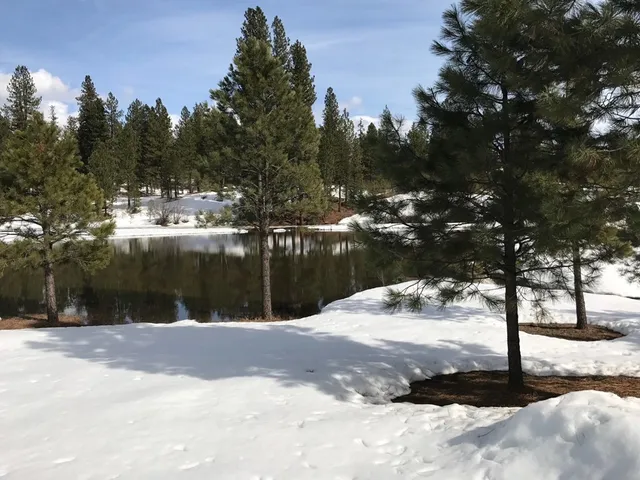 $999,500 | 3900 Ponderosa Court, New Meadows, ID 83654