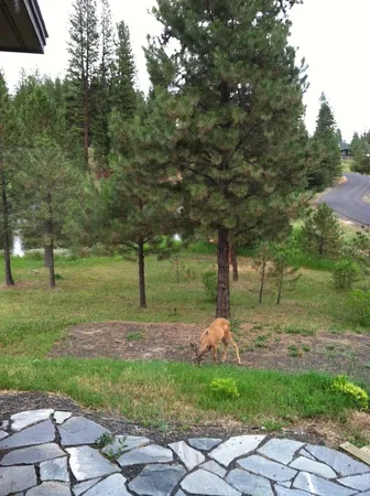 $999,500 | 3900 Ponderosa Court, New Meadows, ID 83654