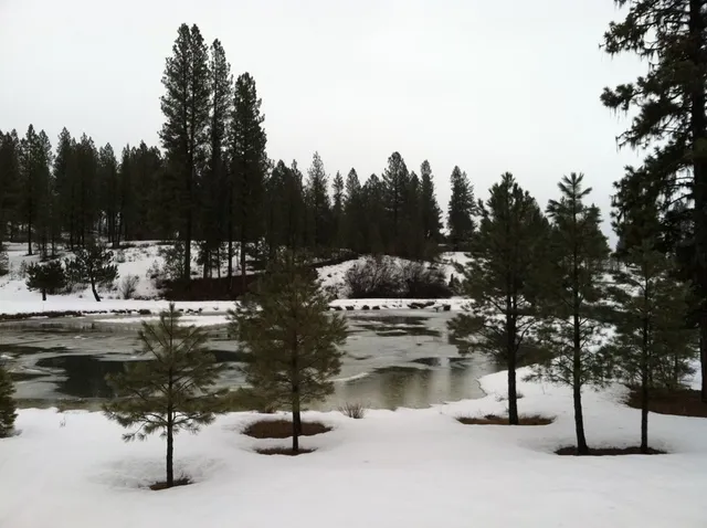 $999,500 | 3900 Ponderosa Court, New Meadows, ID 83654