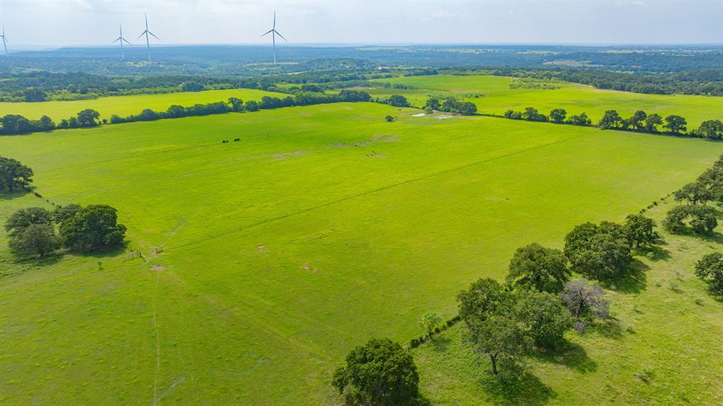 12697 Cr 126 Ranger, TX 76470 - Photo 4 of 40